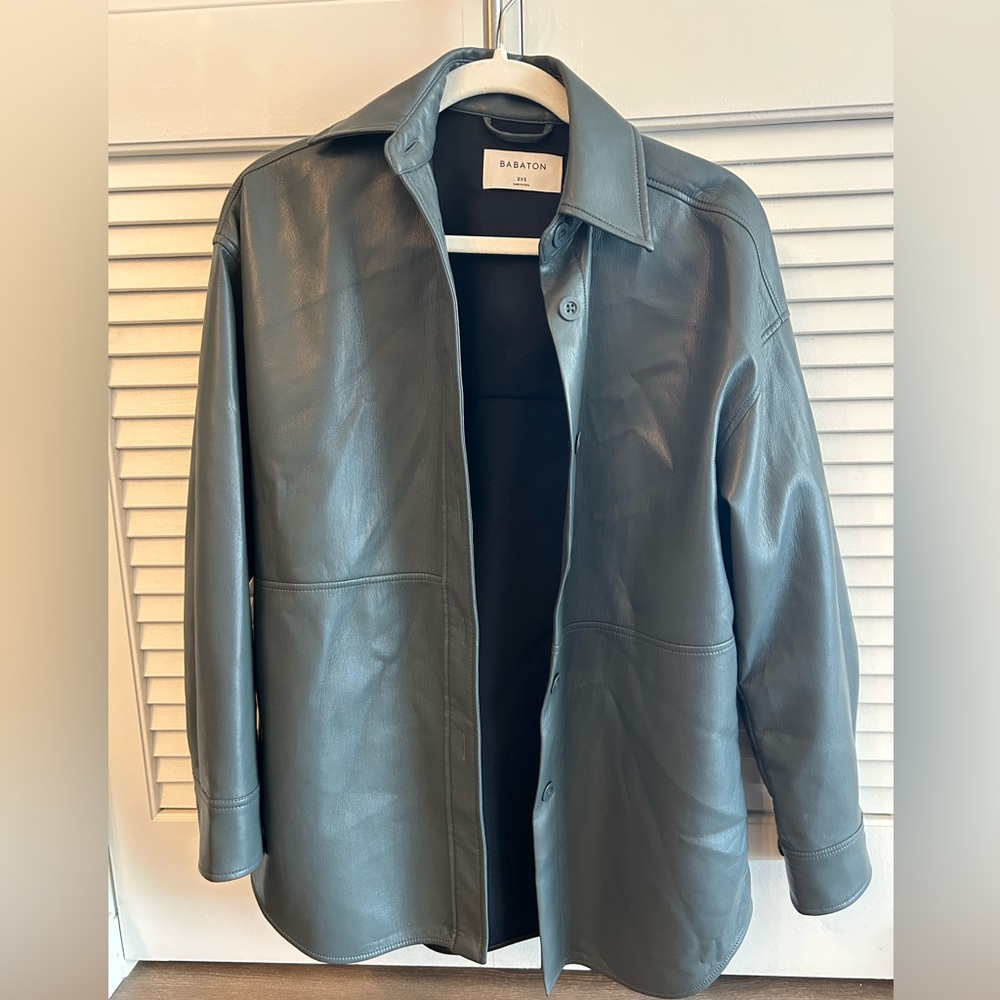Aritzia Babaton Leather Jacket